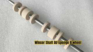Wincor Nixdorf Albero AU spugna 8 ruote